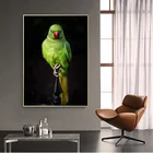 Печать на холсте Плакаты Зеленый попугай анималистический рисунок HD Гостиная Wall Art Классическая птичка для домашнего декора постер животного холст для живописи