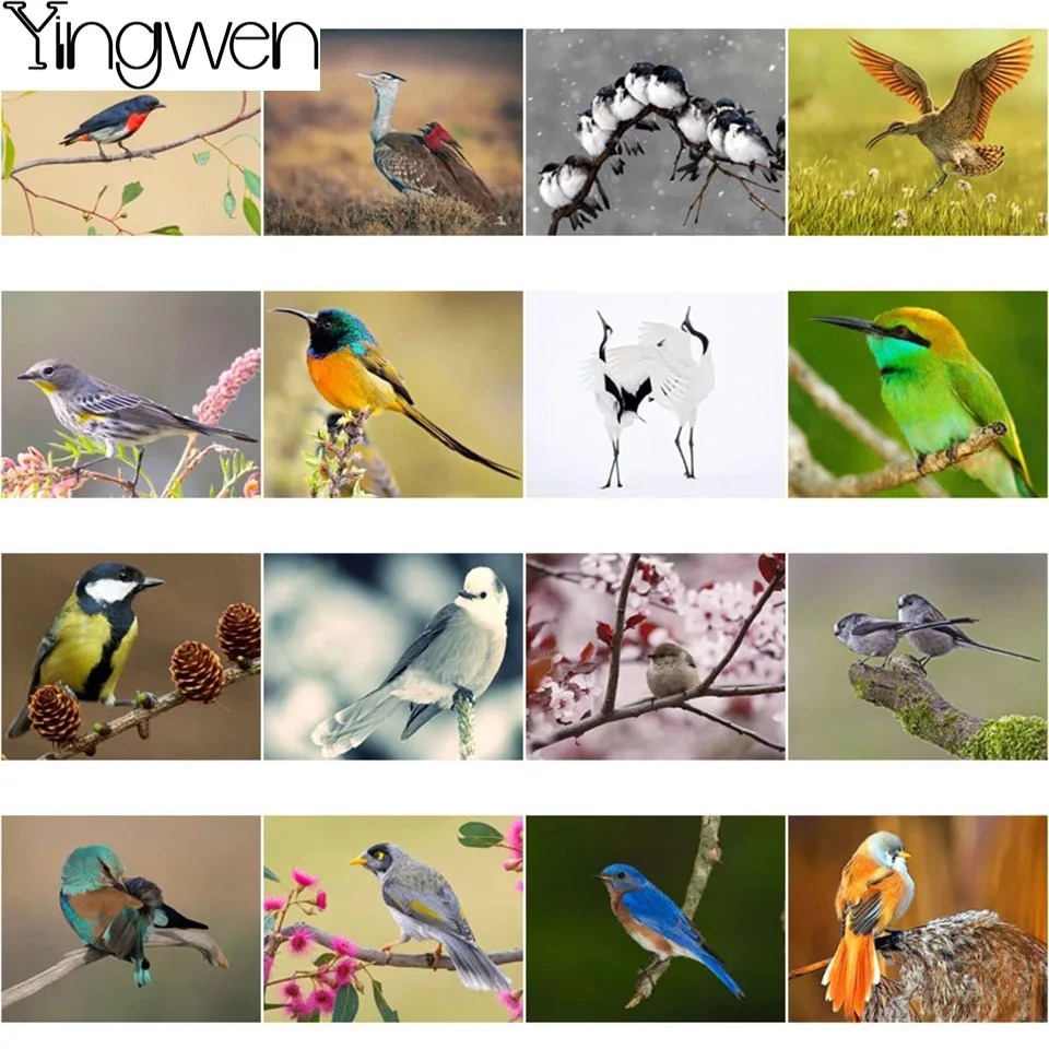 

Colored Bird Diamond Painting Picture Diamond Embroidery Diy Cross Stitch Kits Diamond Art 5D Diamond Mosaic Winter Home Decor
