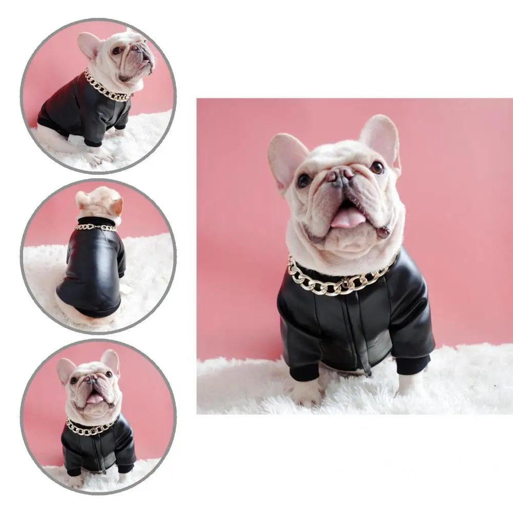 

Pullover Soft Puppy Two-legged Winter Coat Fashion Pet Coat Breathable for Outing