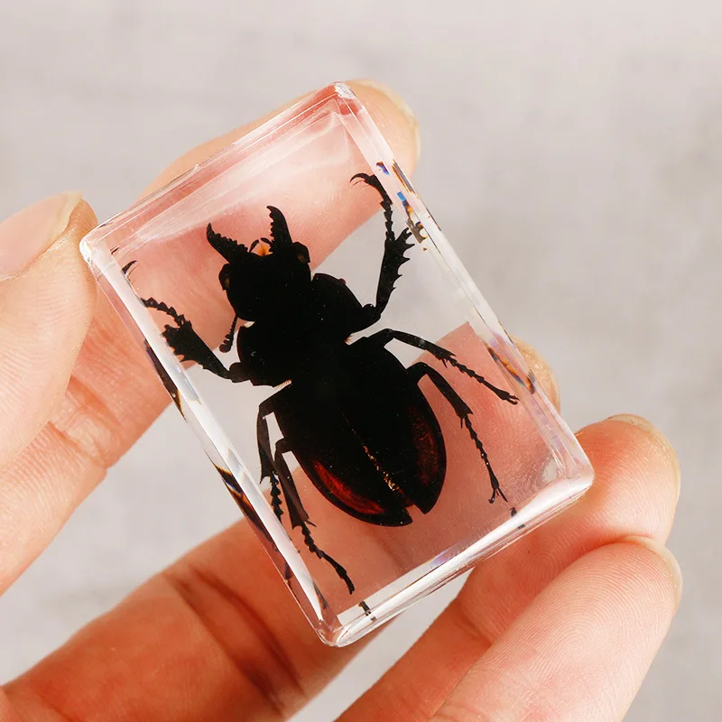 Разнообразные искусственные образцы прозрачная смола поделки для обучения и