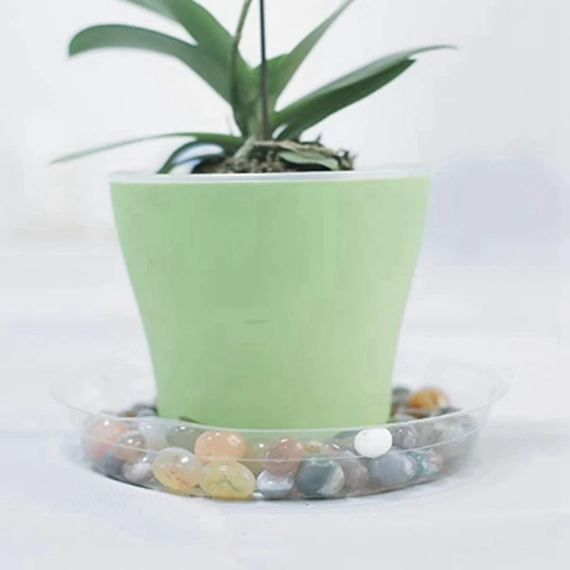 

60 Pcs Transparent Plastic Plant Trays, Drip Trays, Suitable for Indoor Flower Pots and Flower Pots 6-Inch & 8-Inch