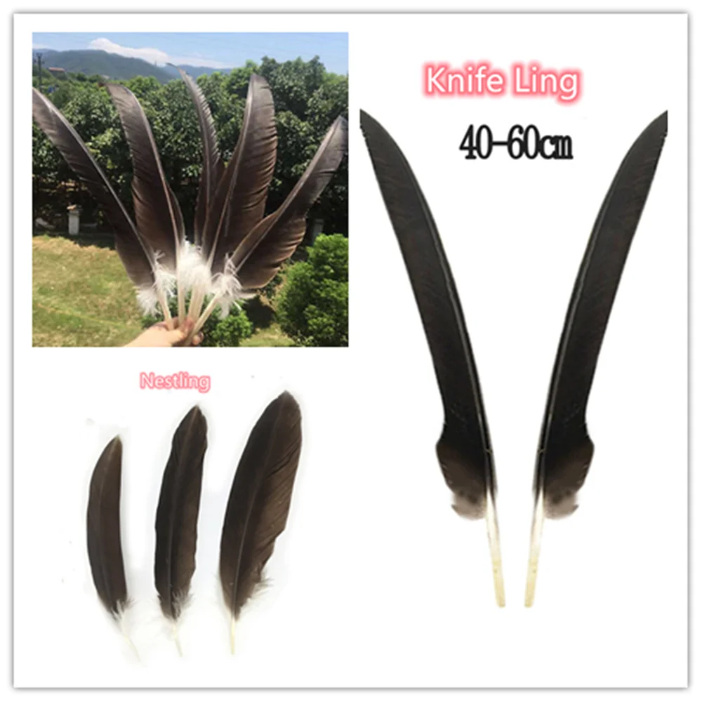 

beautiful! 10-50PCS precious natural eagle feathers 16-22 inches / 40-60 cm wedding halloween DIY