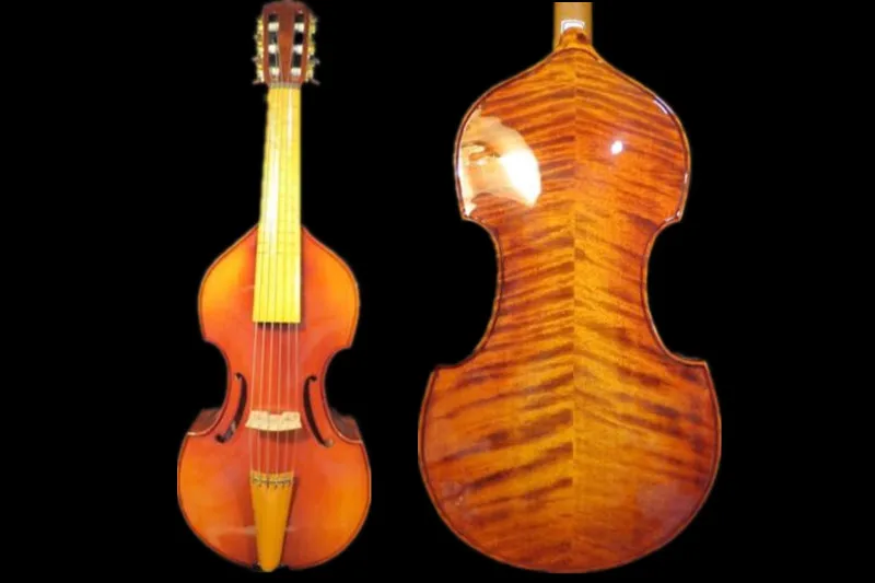 Композиция в барочном стиле Maestro 6 дюймов 16 instate Frets Trebles viola da gamba9467 | Спорт и