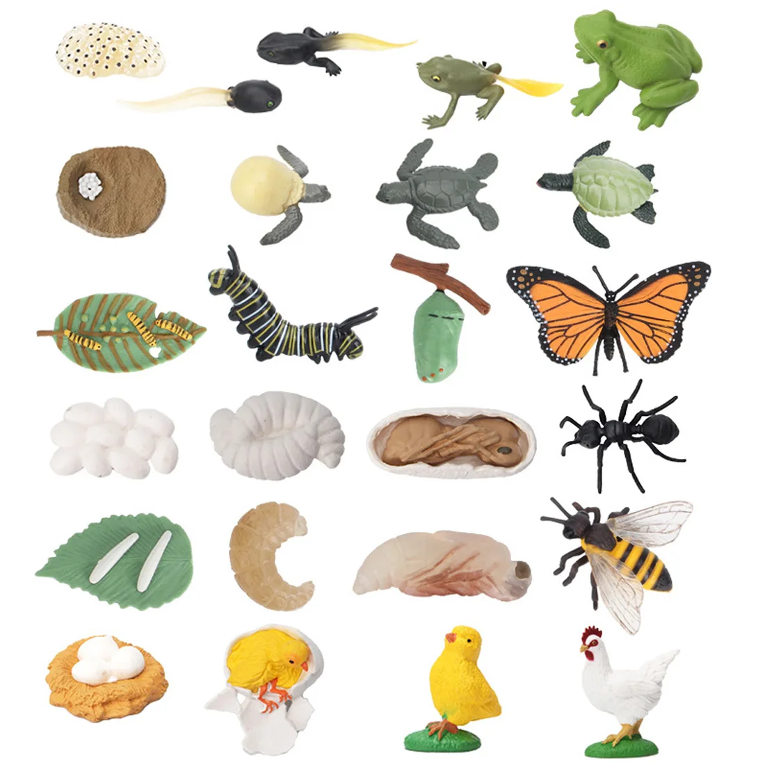 

Montessori Biology Materials Stimulation Animal Models Action Figures Life Cycle Learning Resources Educational Toys D2464H