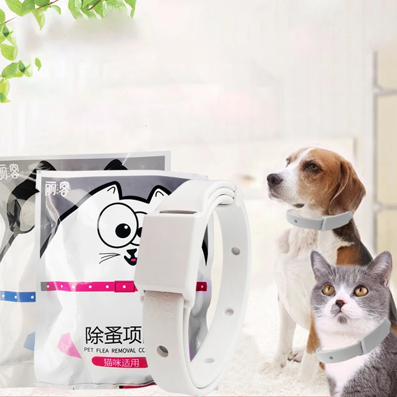 

Cat Dog Collar Flea & Tick Prevention Pet Collar Pest Control Protect Flea Killer Collar Pet Accessories