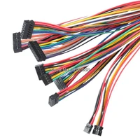 24awg 500mm dupont plastic shell 2 54mm double row dupont connector wire harness customization made