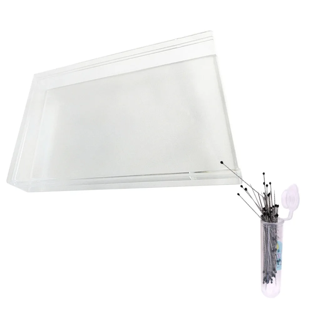 

1 Set Insect Specimen Kit Insect Box Transparent Insect Specimen Display Case