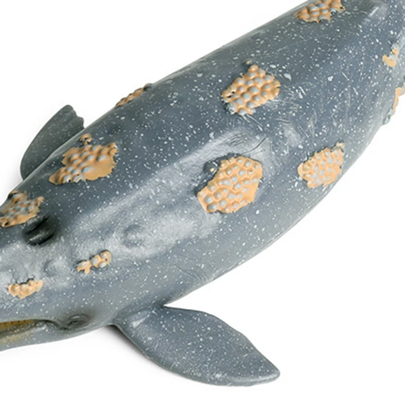 

Sea Life Animals Whale Shark Model Action Figures Pvc Figurines Simulation Humpback Whales Models Toys