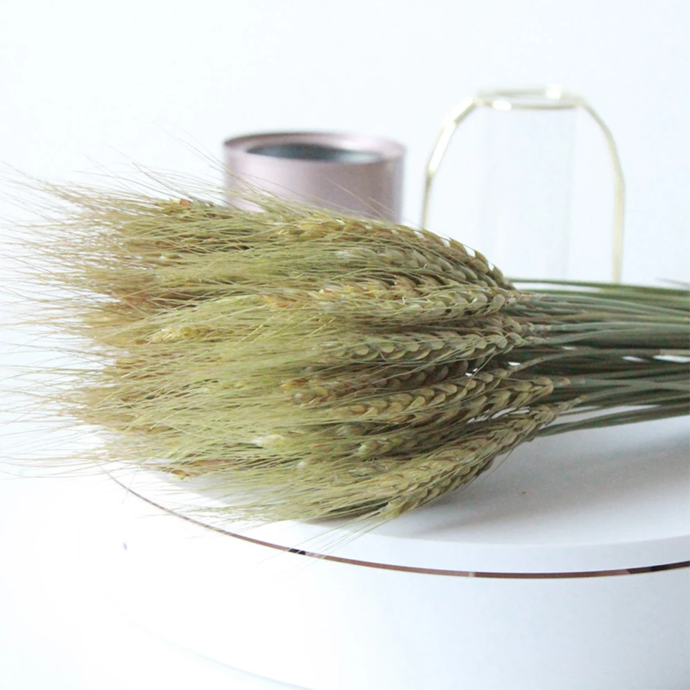 Сушеные цветы 50 шт. букет Растений Декор натуральные стебли пшеницы Сделай Сам