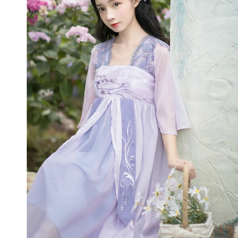 

Summer Chiffon Dress Women Ancient Chinese Style Hanfu Traditional Tang Dynasty Princess Clothes Ladies Embroidery Fairy Dresses