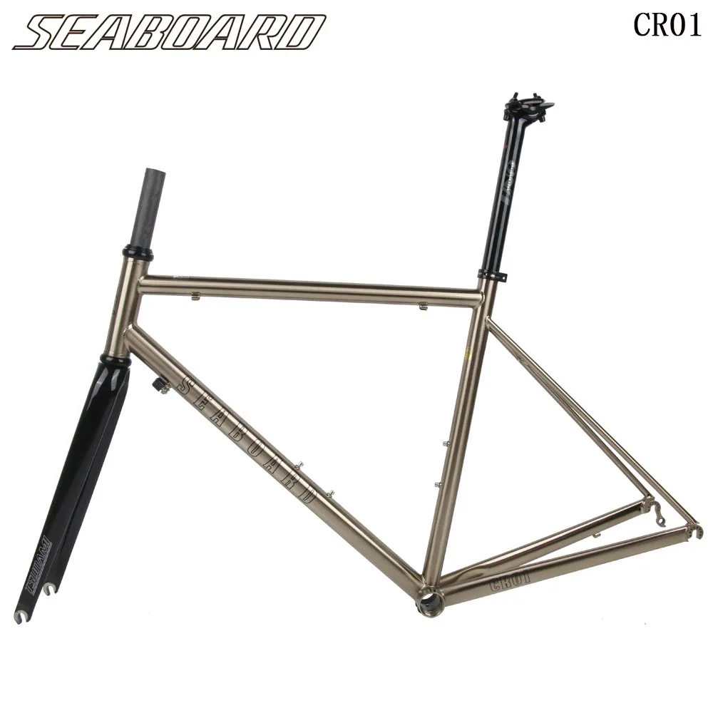 

TSUNAMI V01 Road Bicycle Frame CR01 Ultra-Light Steel Frame Lined & Silver with Carbon Front Fork Seat Tube