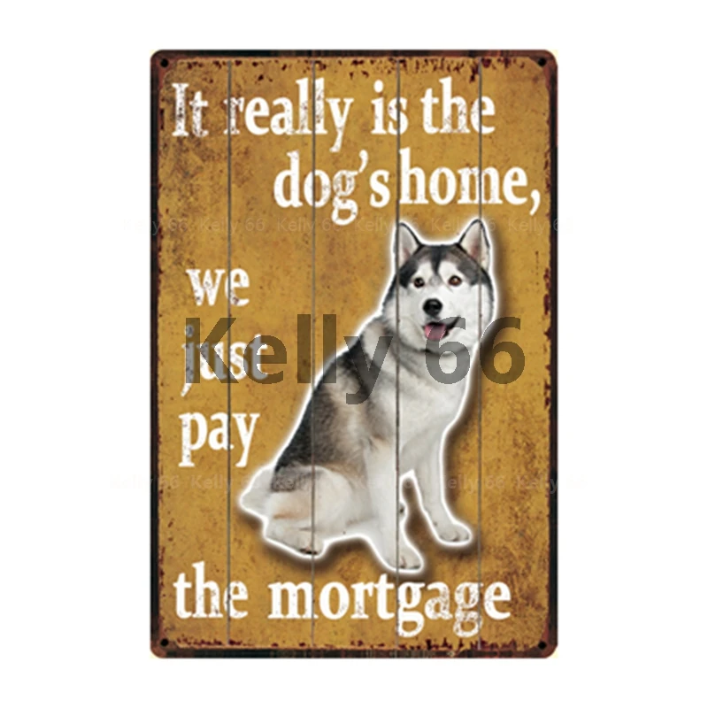 [Kelly66] это действительно домашний Мопс собаки померанский самоид металлический