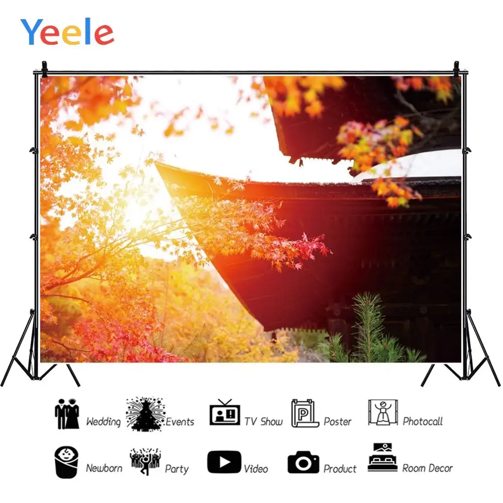 Yeele пейзаж портрет древний дворец солнце фон для фотосъемки на заказ