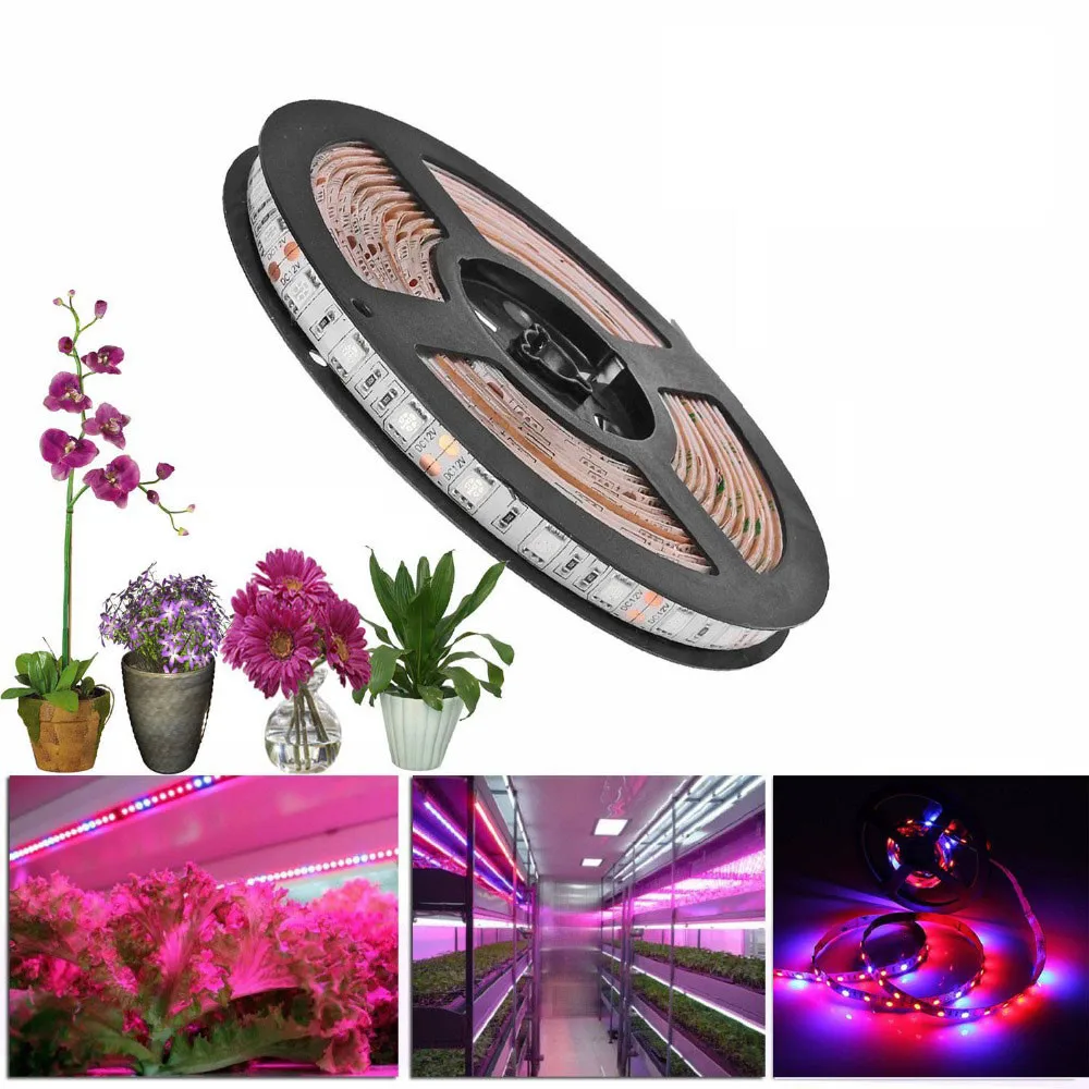 

12V led grow light strip tent Full Spectrum Flower Plant Phyto Growth lamp for indoor Greenhouse Hydroponic grows lights 5M 5050
