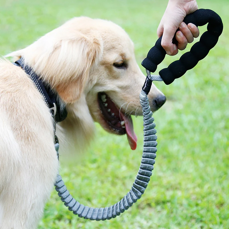 

Pet Leash Adjustable Strong Dog Leash 1.1m Long With Comfortable Padded Handle Heavy Duty Training Durable Nylon Rope Leashes