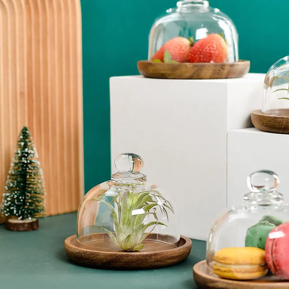 Многофункциональная мини-подставка для торта из акации с крышкой | Дом и сад