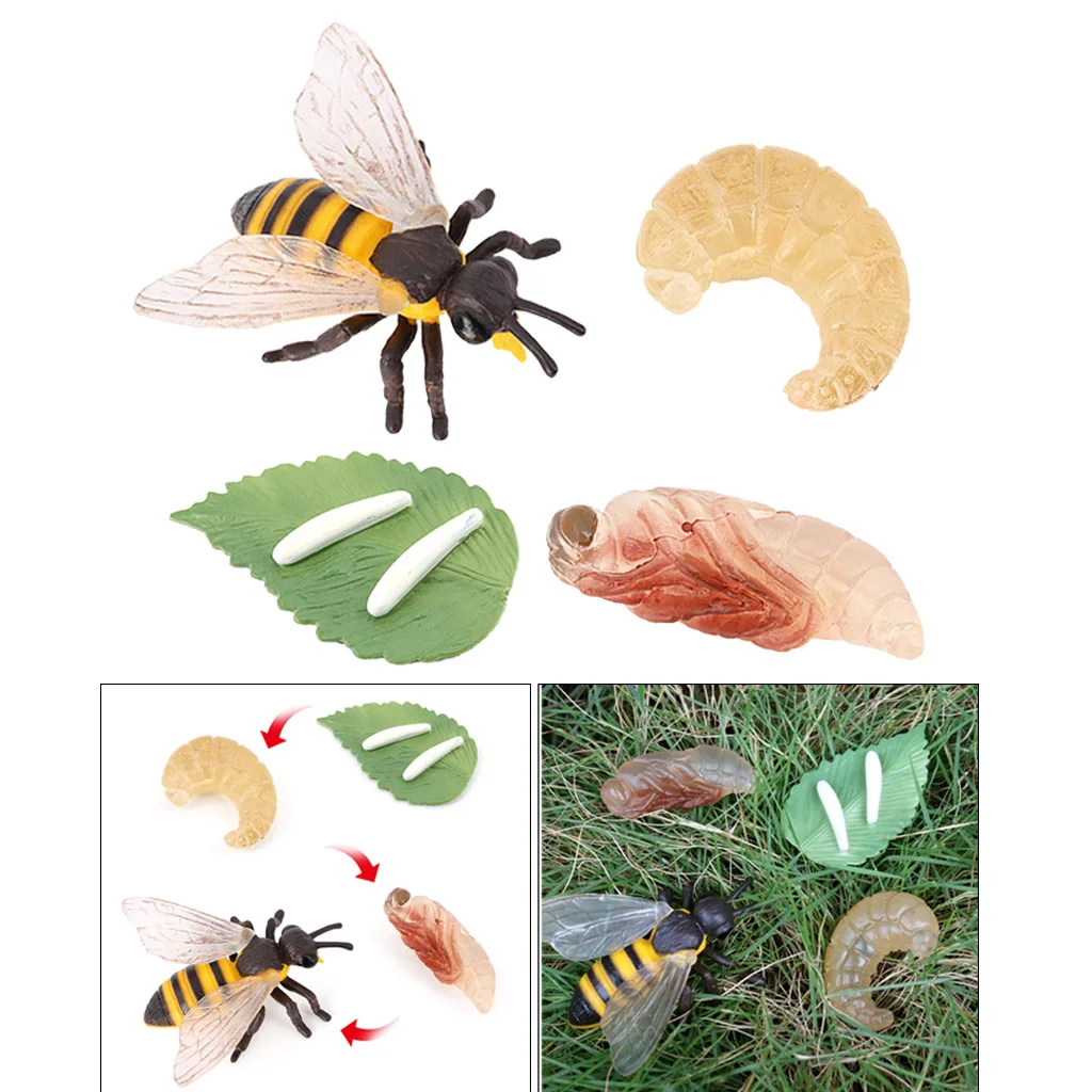 

Kids Insect Honey Bee Growth Cycle Pre-school Imagination Toys Teaching Aids