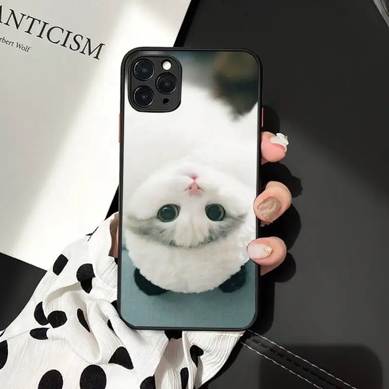 

Funny Kitten Cat lovely animal Phone Case matte transparent For iphone 7 8 11 12 plus mini x xs xr pro max cover