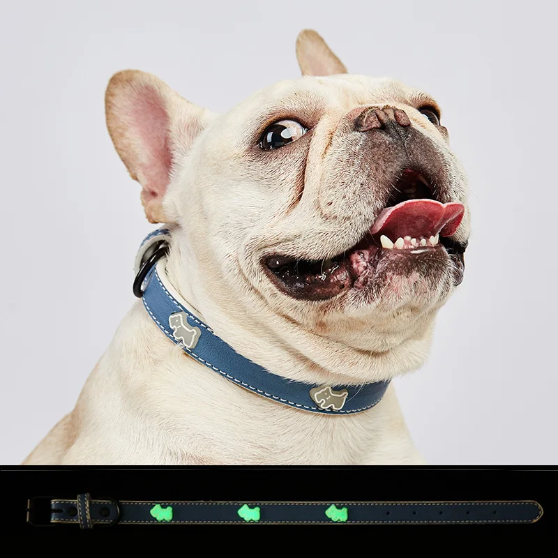 New Luminous Dog Collar Small, Medium and Large Dogs Adjustable Cat Collar Traction Rope Collar Dog Supplies Dog Harness