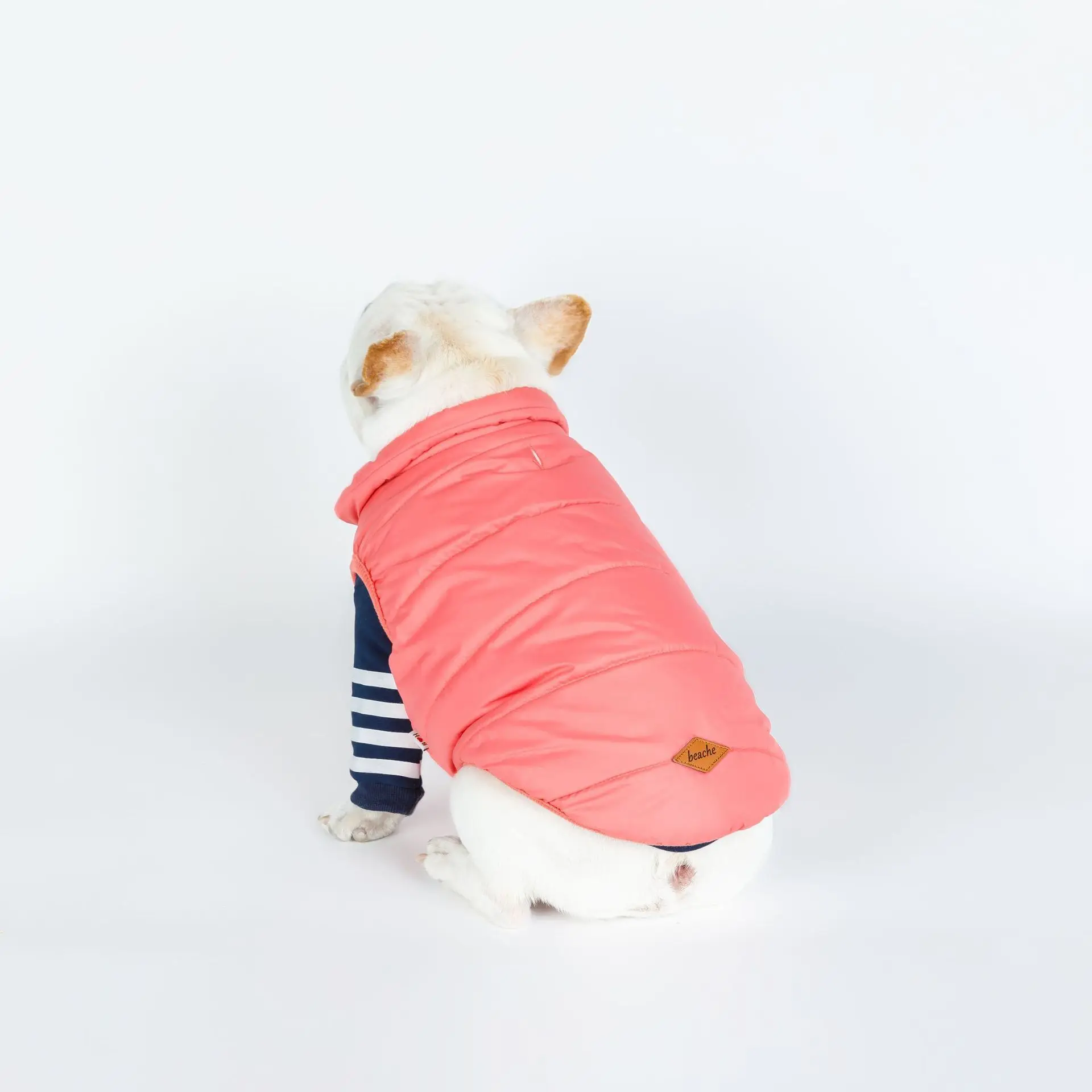 

New cats cat 2021 cotton puppy green blue cute lovely winter pet vest fashion warm dogs clothing vest cotton dog clothes jacket