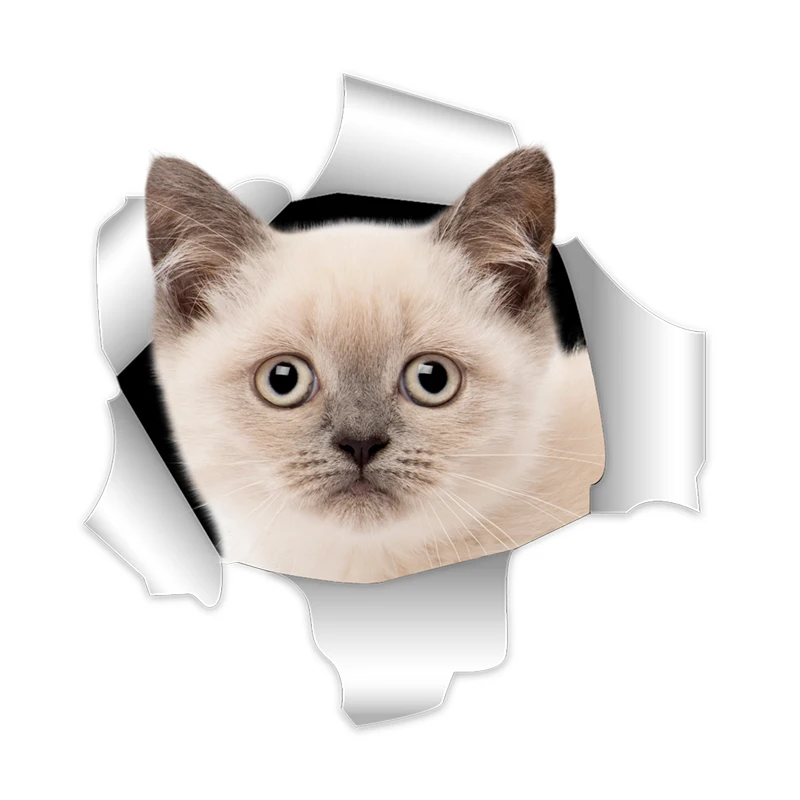 

Cute 3D Cat Stickers Hole View Vivid Cat PVC Car Stickers and Decals Home Wall Bathroom Toilet Stickers Car Styling Stickers