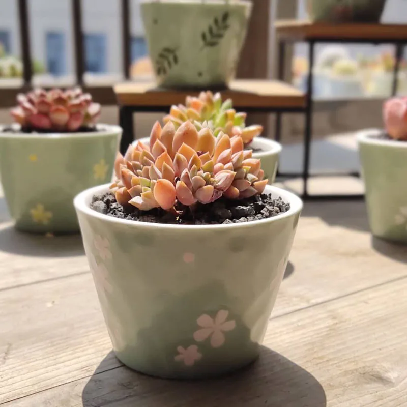 Набор из 6 зеленых керамических цветов цветочный горшок для суккулентных