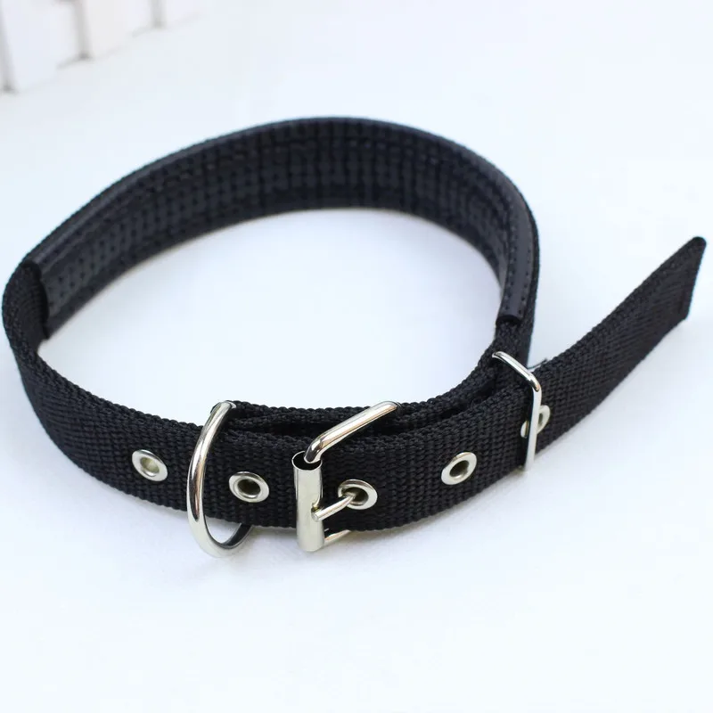 Adjustable Nylon Strap Dog Collar for Small Large Dogs Puppy Pet Accessories Leather Collar for Dogs Golden Retriever Husky Neck