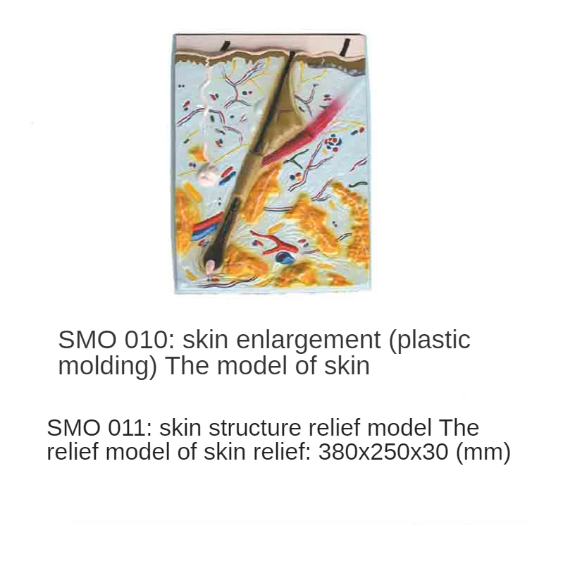 

Модель SMO011 с тиснением (1 часть)