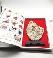 madagascar natural quartz crystal trilobite fossil specimen ornaments chakra reiki sleeve box healing