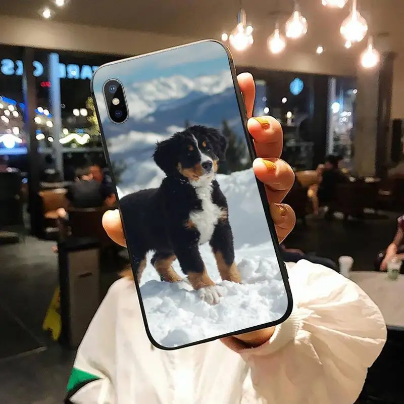 

Bernese Mountain Dog cover Phone Case for iPhone 11 12 pro XS MAX 8 7 6 6S Plus X 5S SE 2020 XR