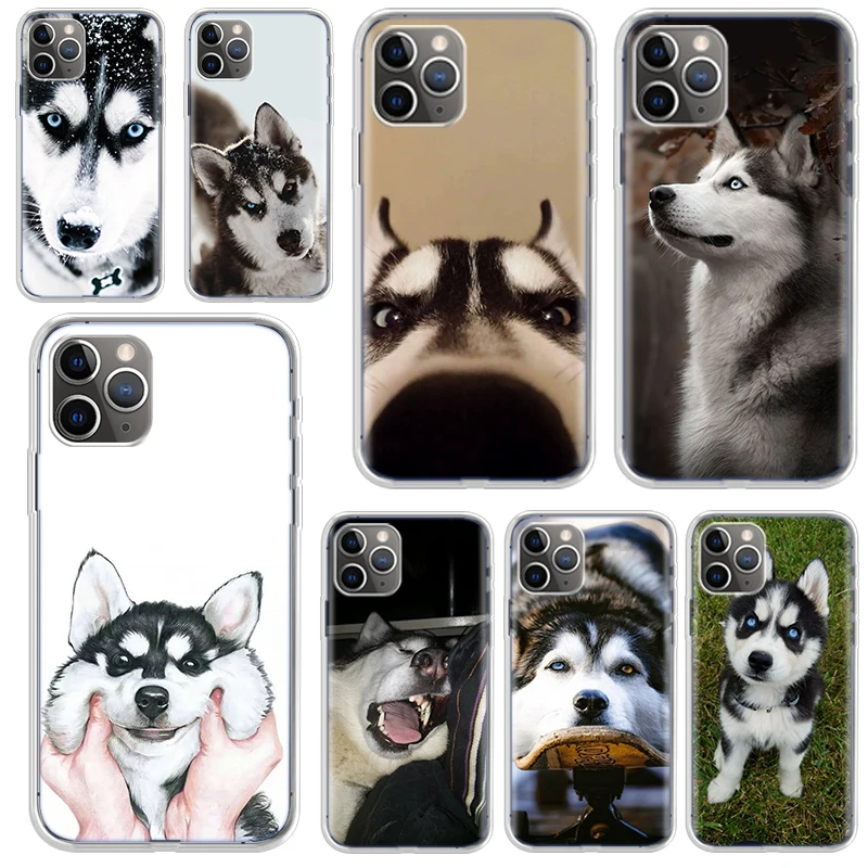 

Funny Husky For iPhone 13 12 11 Pro Max 8 7 6 Plus Case Soft TPU Cover For iPhone X XSMax XR SE 2020 Shockproof Shell