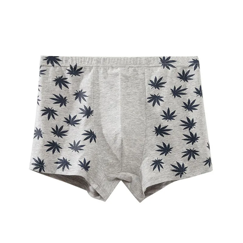 

5pcs Male Cotton Underwear Men's Boxers Panties Breathable Man Boxer Solid Underpants Comfortable Shorts Large Size