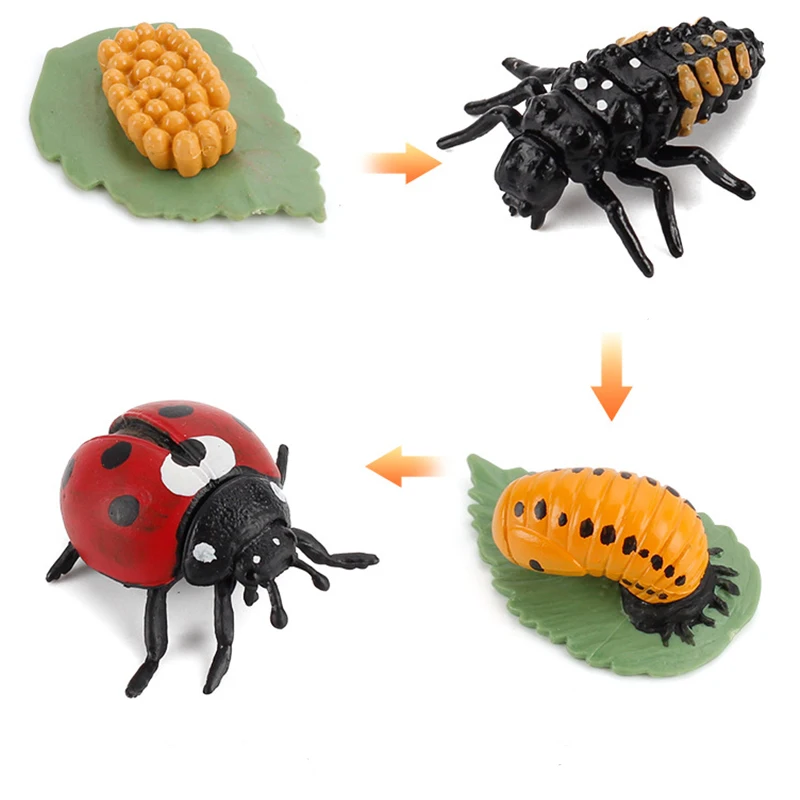 

Simulation Insects Growth Cycle Ladybug Spider Ant Grasshopper Life Figurine Plastic Models Action Figures Educational Kids Gift