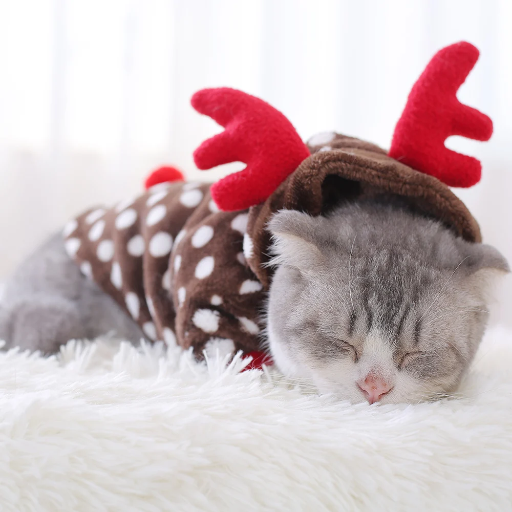 Одежда для котят Сезон осень зима Голубые кошки Милые котята питомцев щенков