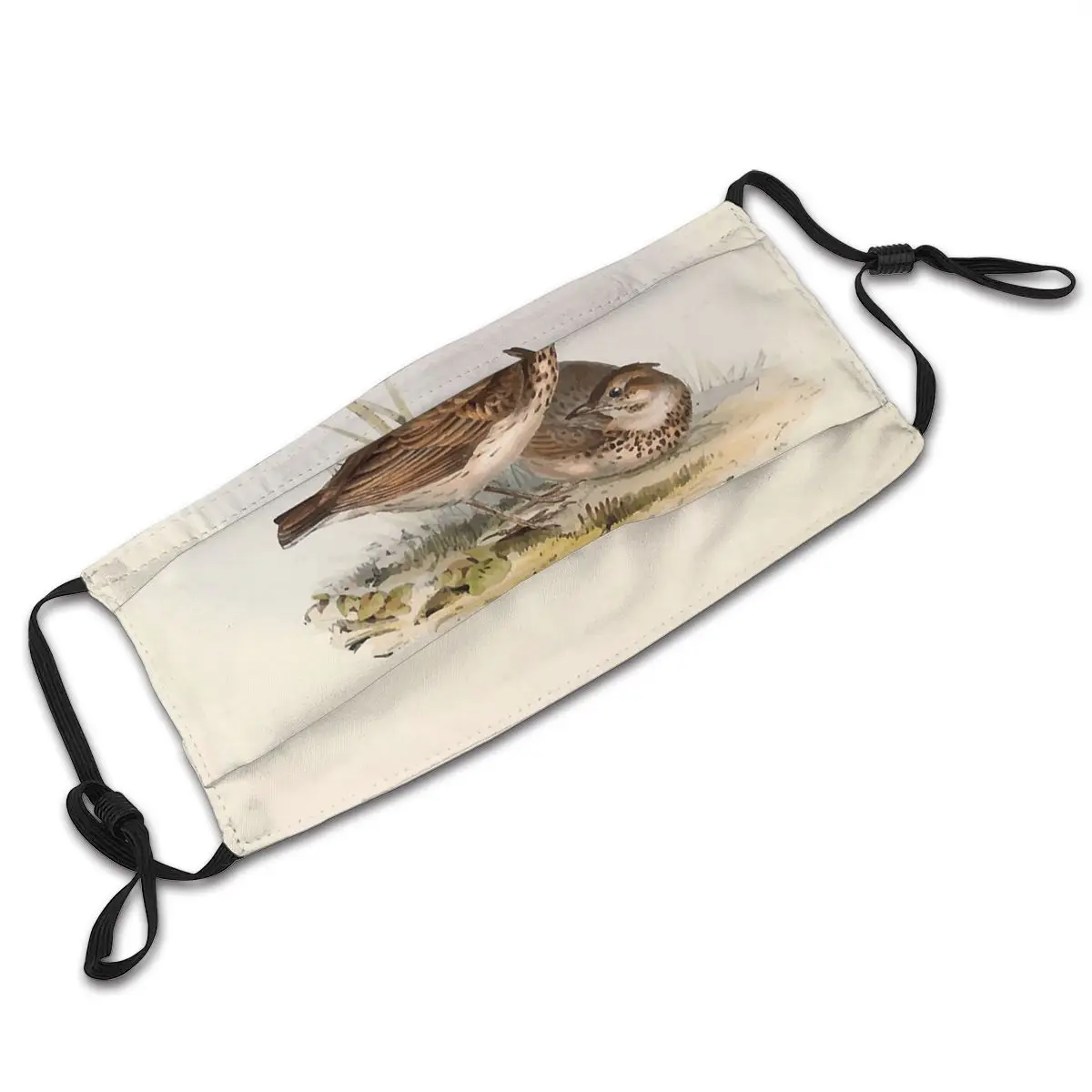 

Birds Of Europe Lark Washable Trendy Mouth Face Mask Anti Haze Cold Proof with Filters Polyester Protection Cover Respirator