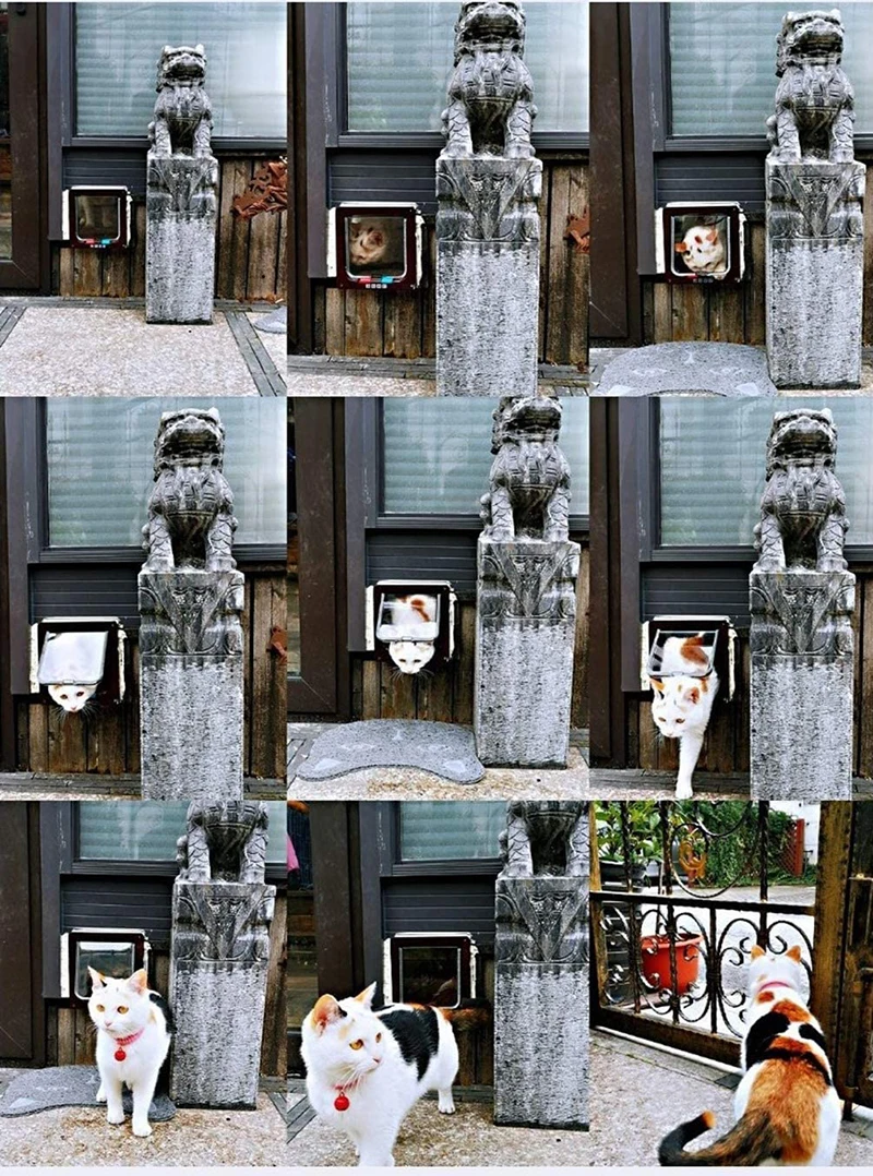 

Cat Flap Door With 4 Way Lock Security Flap Door For Cat Kitten Small Pet Gate Door Kitty Cat Door