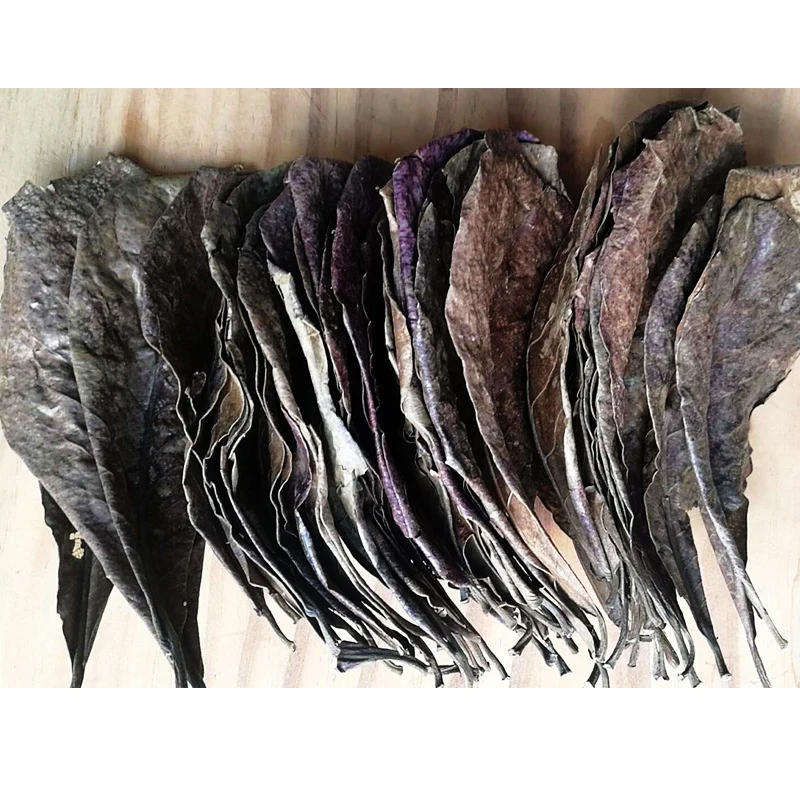 10 шт. натуральная терминалия капата листья остров миндальная очистка рыб