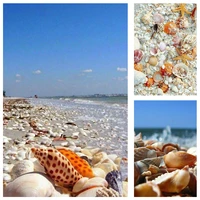 diy summer shell beach square drill diamond painting colorful handmade cross stitch kits embroidery mosaic home room wall decor