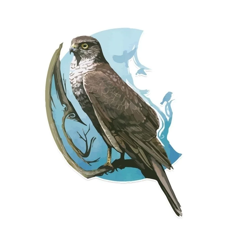 10 9*15 см уникальный Орлы в Лунный свет Декор ПВХ Цветной Персонализированная