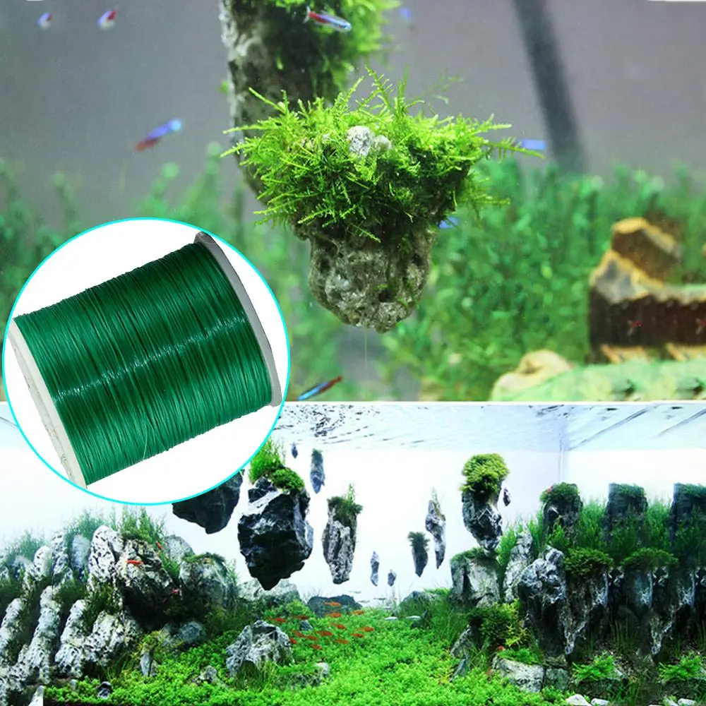 Аквариумные рыбки аквариумные пейзажи водные живые растения водная трава коряга