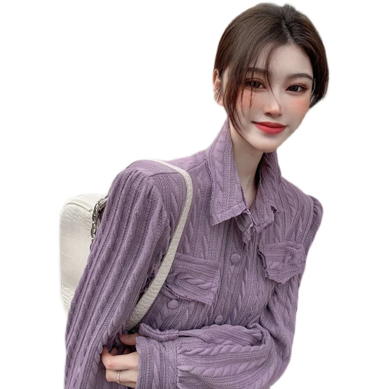 

COIGARSAM Full Sleeve Shirt Womens tops Solid Turn-down Collar High Waist Women shirts Gray Purple 6868