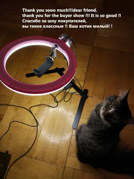 Светодиодный кольцевой светильник для селфи для студийной фотосъемки с затемнением заполняющий кольцевой светильник со штативом для смартфона с накладным кронштейном CD50 T03 Y2