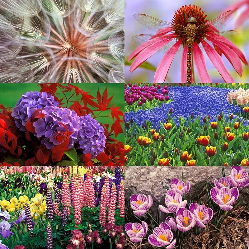 

Алмазная 5D живопись «сделай сам», вышивка крестиком, мозаика из множества цветов ручной работы, полноразмерная круглая вышивка, украшение д...