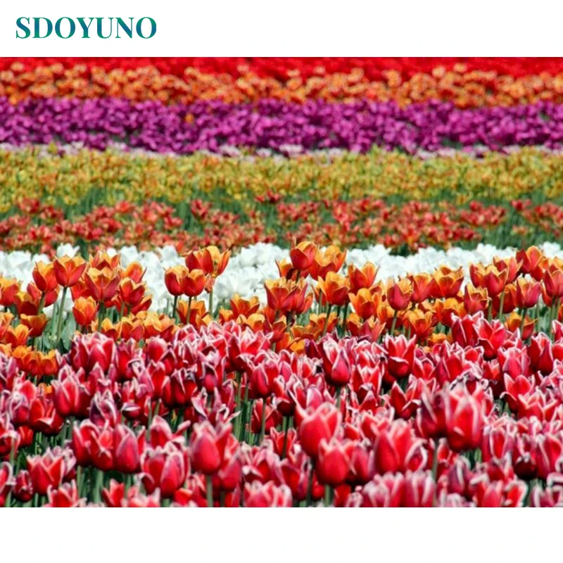 

SDOYUNO DIY Paint By Numbers Flowers Scenery 60x75cm Oil Painting By Numbers On Canvas Frameless Number Painting Home Decor