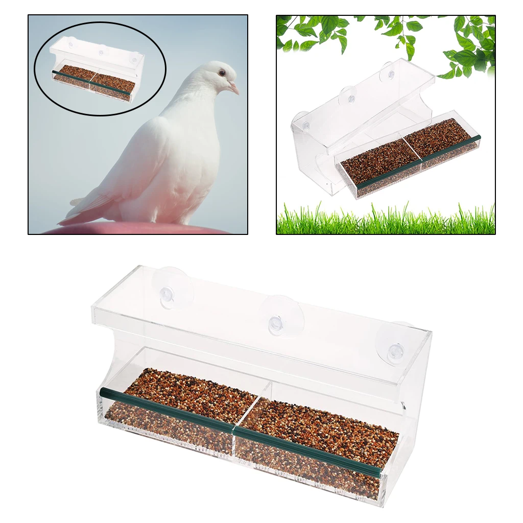 Ясно висят птица оконная кормушка для птиц дом с Крепкие присоски птицы белка