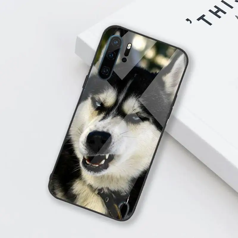 

Husky Phone Case Tempered glass for Huawei Honor Mate P 9 10 20 30 8X 7A V10 Pro Plus Lite NOVA 3E 3I 5 5I Pro