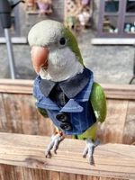 parrot clothing bird supplies tiger skin peony suit pet supplies coat cowboy coat pet clothing various sizes customization