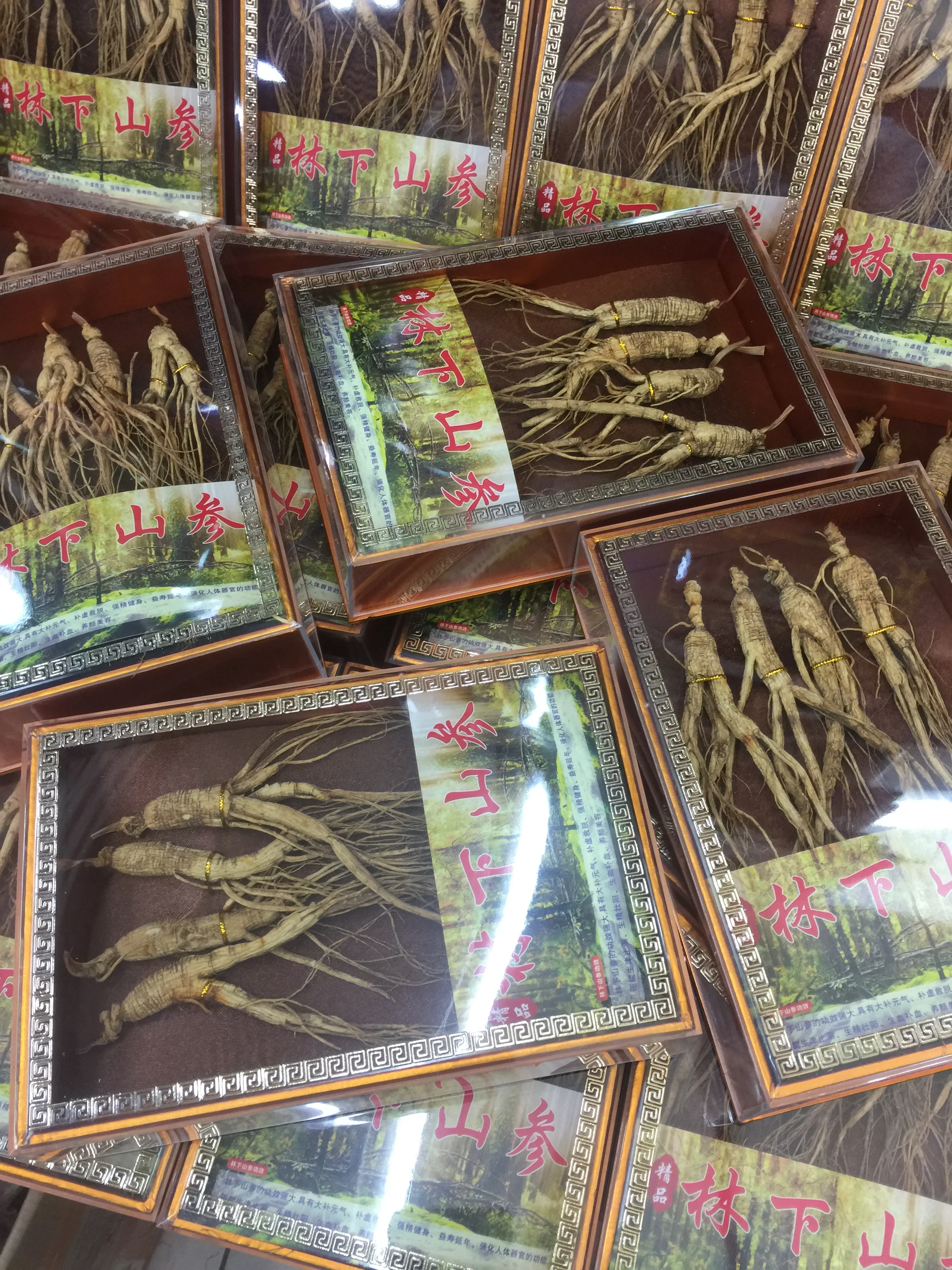 

free shipping lmproving immunity of Changbai Mountain Ginseng for 10 years