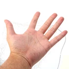 Сетка для защиты от птиц, 6x2 м