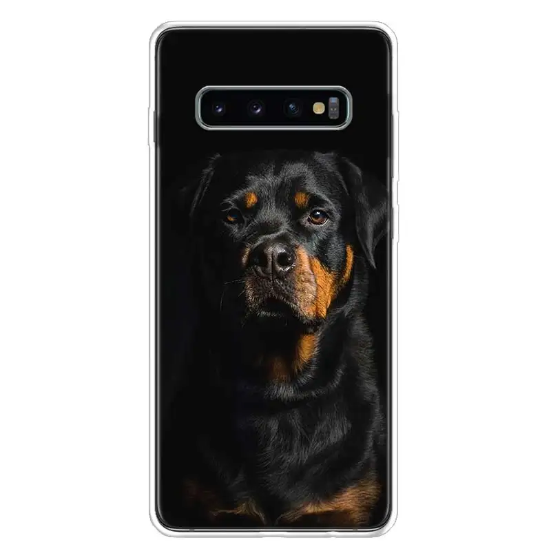 Милый чехол для телефона ротвейлера с собакой Samsung Galaxy S20 FE S21 S22 Ultra S10 Lite S9 S8 Plus S7 Edge
